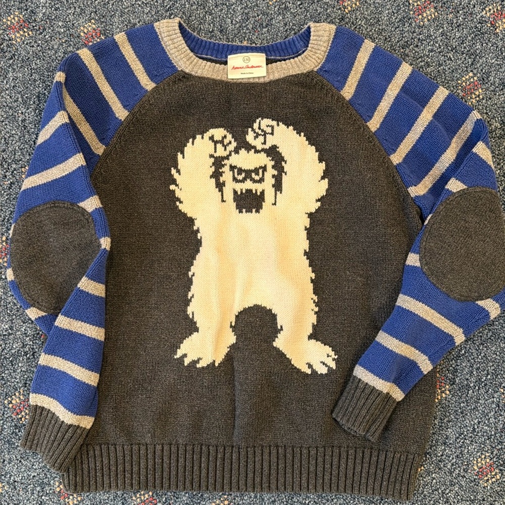 Hanna Andersson boys sweater size 130 or M